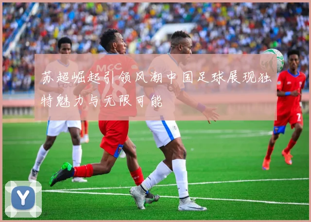 苏超崛起引领风潮中国足球展现独特魅力与无限可能