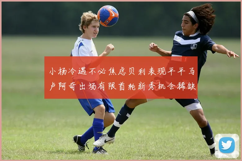 小杨冷遇不必焦虑贝利表现平平马卢阿奇出场有限首轮新秀机会稀缺
