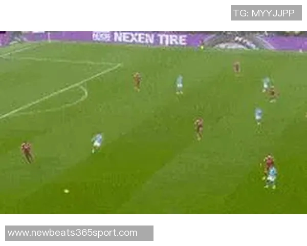 世欧预赛禁区触球数据揭晓多库遥遥领先哈兰德加克波凯恩紧随其后